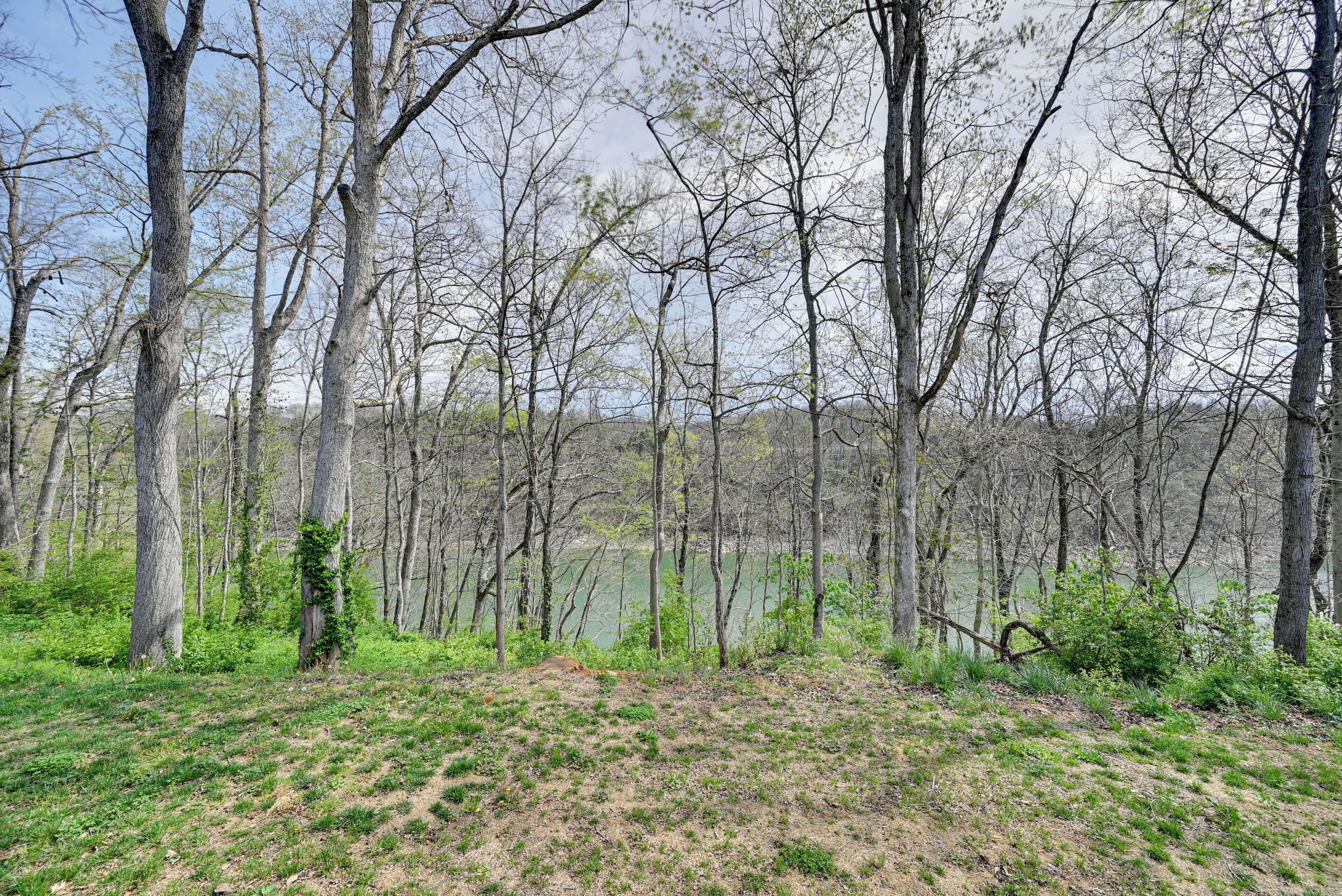 A forested area with trees and a body of water in the background.