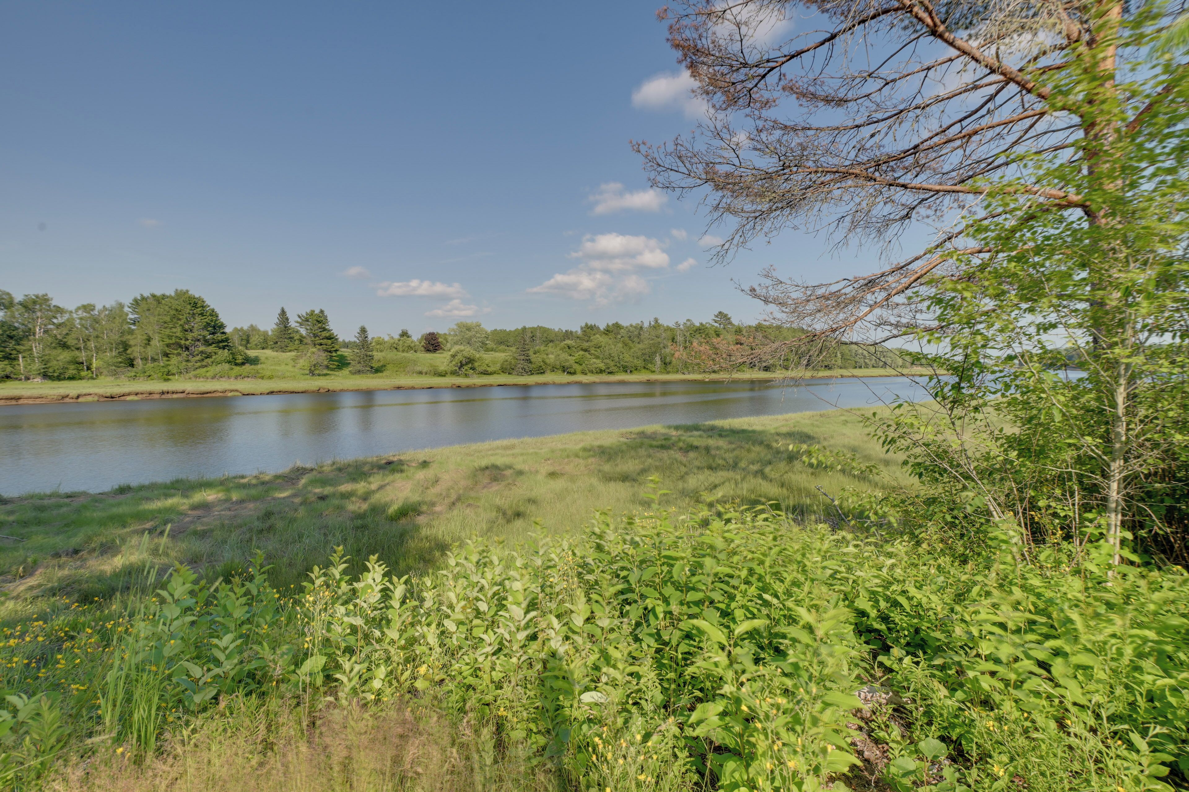 A natural landscape with a lake, trees, and grassy areas.