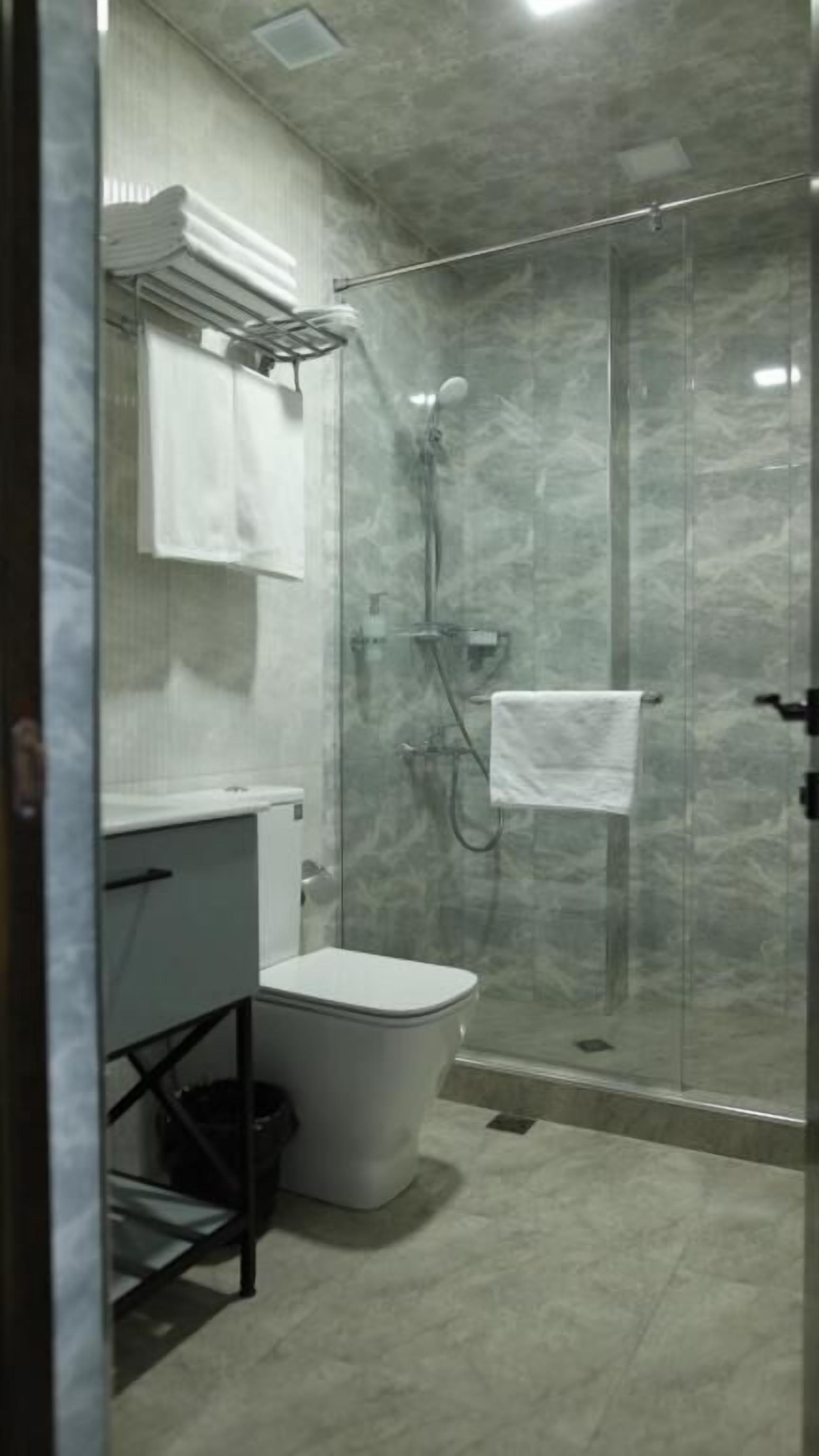 A bathroom with a glass-enclosed shower, a toilet, and a sink with a towel rack.