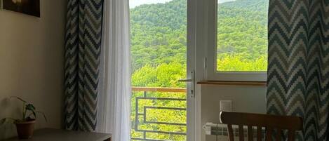 Una habitación con vistas a una ladera boscosa, un radiador, una silla de madera y un escritorio con una planta.