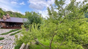A garden with a tree, a stone pathway, and a building with a sloped roof. - RestArt Boutique Hotel (Dilijan)