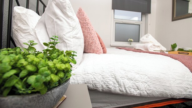 A neatly made bed with pillows, a bedside plant, and a window with a view. - Corner House, close to Lincoln City Centre (Lincoln)