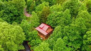 Une cabane en bois avec un toit rouge, entourée d’une forêt verdoyante et dense.