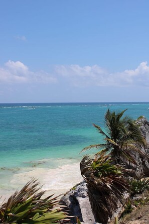 Beach - Tulum Paradise | 4BR Home with Private Pool (Tulum)