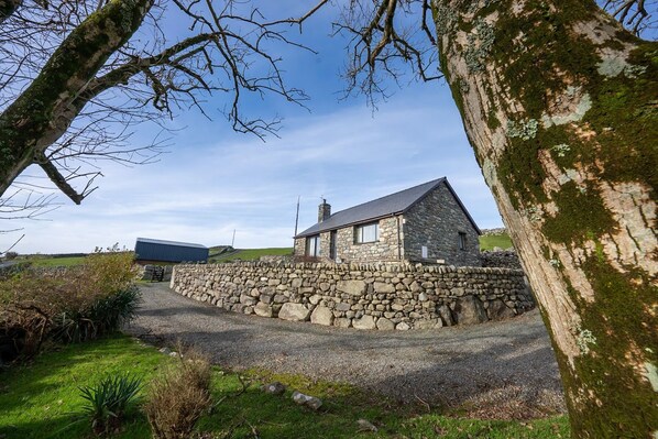 A stone house with a stone wall, a gravel driveway, and a grassy area with plants.