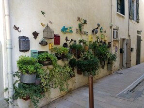 المنطقة المحيطة بالمنشأة