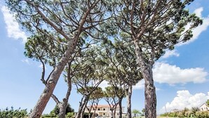 Un sentiero fiancheggiato da alberi alti che conduce a un edificio con tetto rosso.