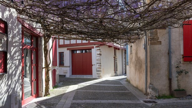 A narrow cobblestone street with buildings on either side, a red door, and a tree with bare branches. - Apartment 'T2 Océane' with Wi-Fi (Salies-de-Béarn)