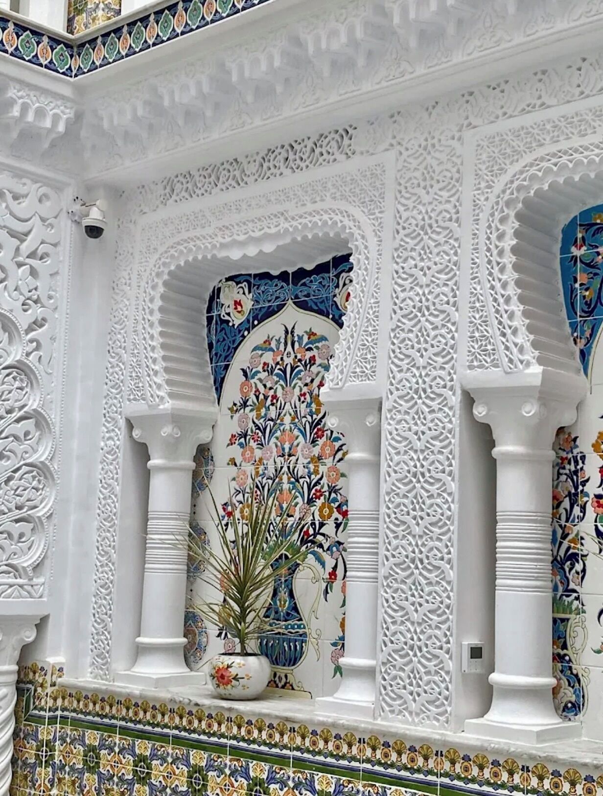 A detailed architectural interior with ornate white columns, a floral tile design, and a potted plant.