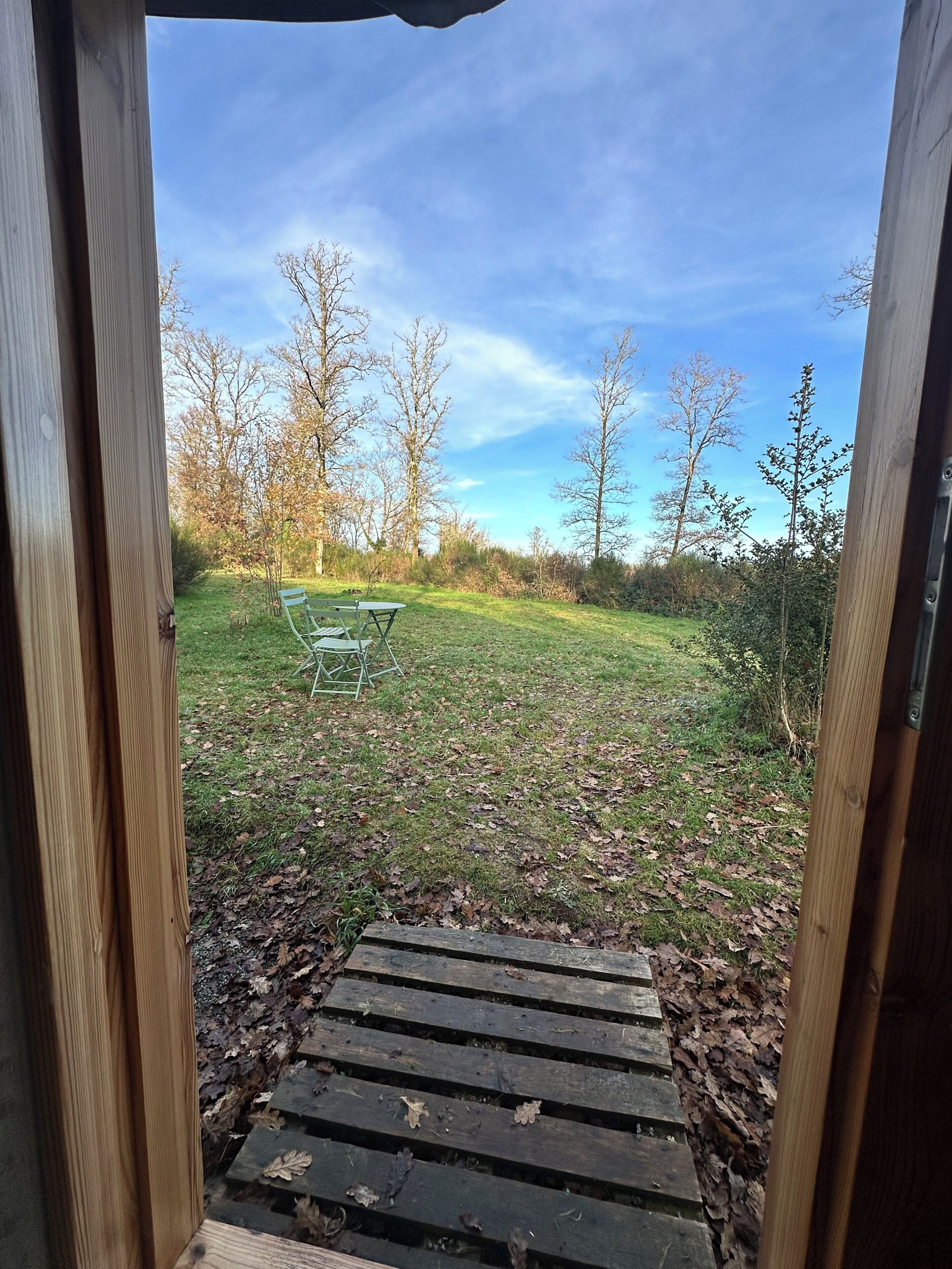 A wooden deck leading to a grassy area with a green chair and a table, surrounded by trees and a clear sky.