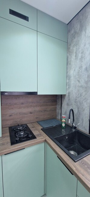 Private kitchen - Elite Downtowne apartment (Chișinău)
