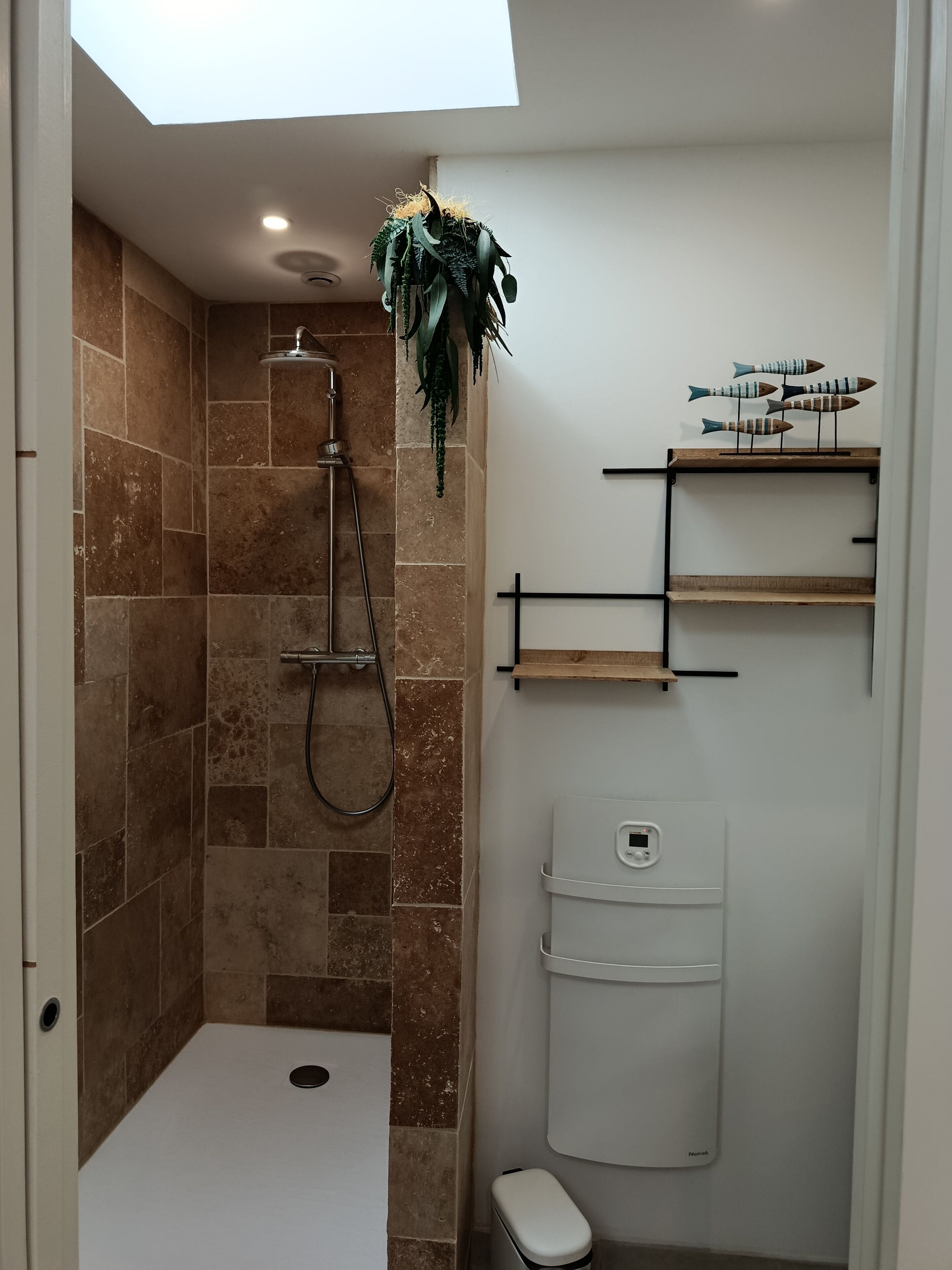 Hair dryer, towels, toilet paper