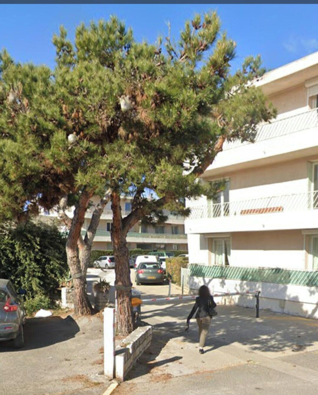 Un immeuble d’habitation doté d’un balcon, avec un arbre devant et des voitures garées.