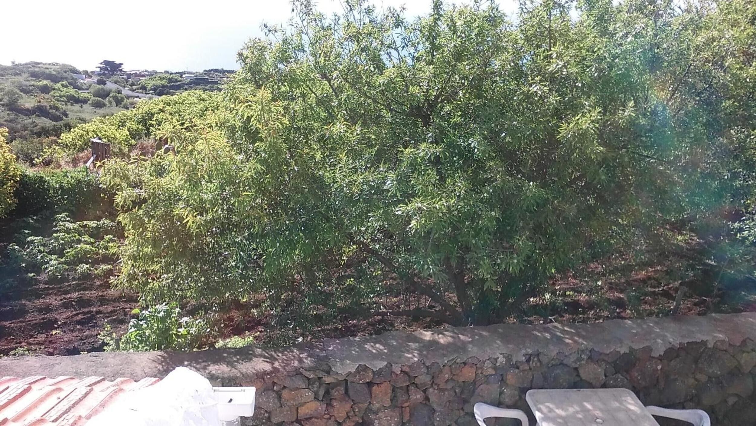 Un muro de piedra con una silla blanca y una mesa, rodeado de follaje verde exuberante.