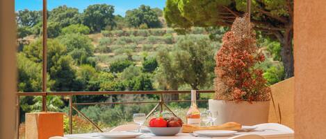 Une table dressée pour le dîner, avec vue sur un paysage vallonné, une plante en pot et une bouteille de vin.