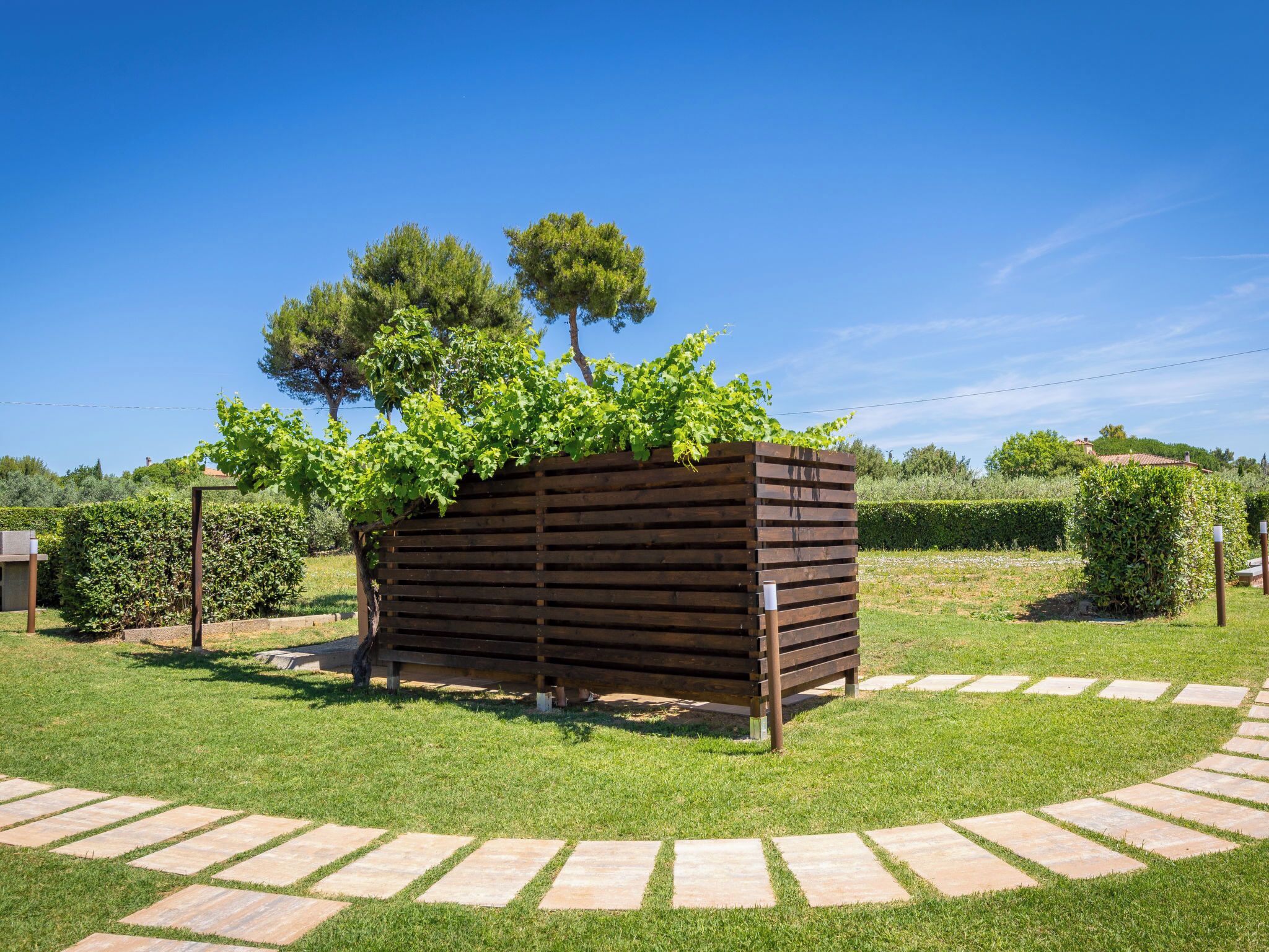A wooden planter box with vines, surrounded by a stone pathway and grass.