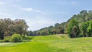 Un campo de golf con una bandera, árboles y un cielo despejado.