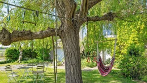 Eine Hängematte, die an einem Baum befestigt ist, ein Tisch mit Stühlen und eine Rasenfläche.