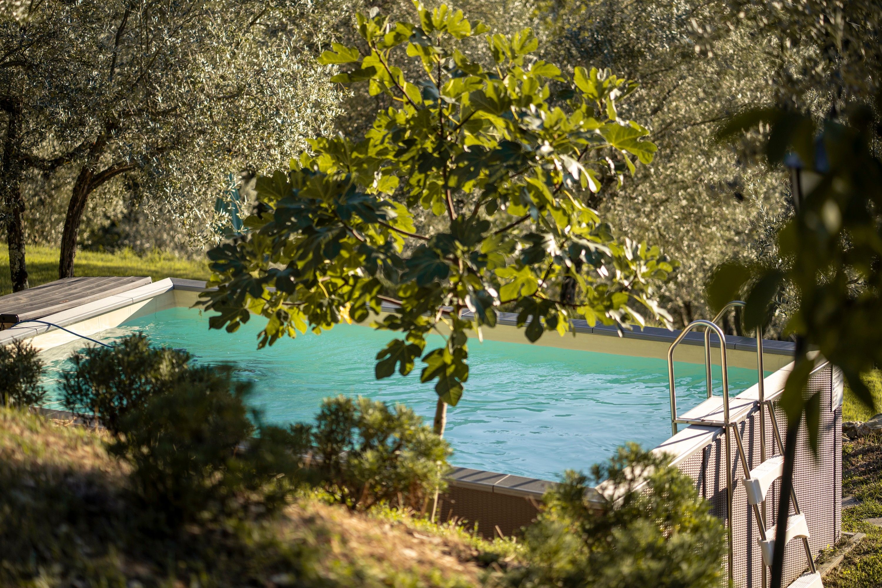 Una piscina envoltada d'arbres i un pont de fusta.