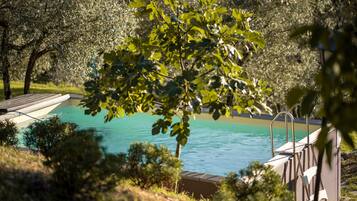 Una piscina envoltada d'arbres i un pont de fusta.