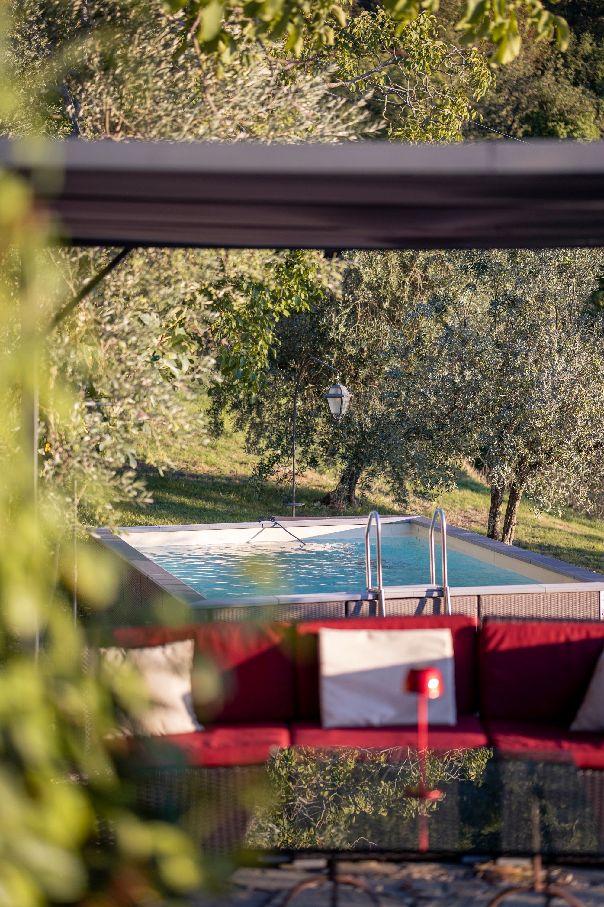 Piscina amb escala metàl·lica, envoltada de vegetació i arbres.