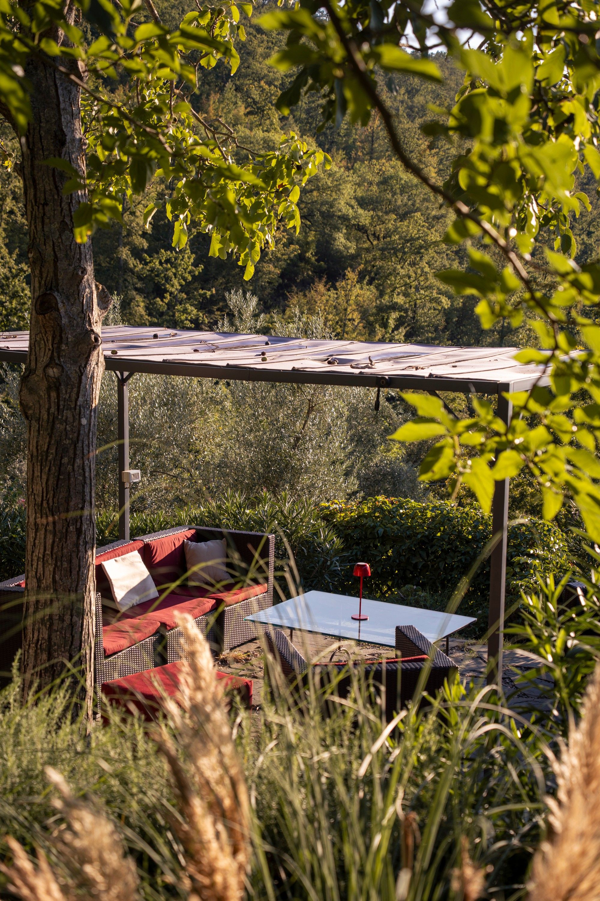 An outdoor seating area with a table and chairs, surrounded by trees and vegetation.