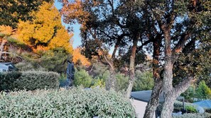 A garden with trees, a statue, and a building in the background. - Mobile home in a magnificent estate with swimming pool in Saint-Raphaël. (Saint-Raphaël)