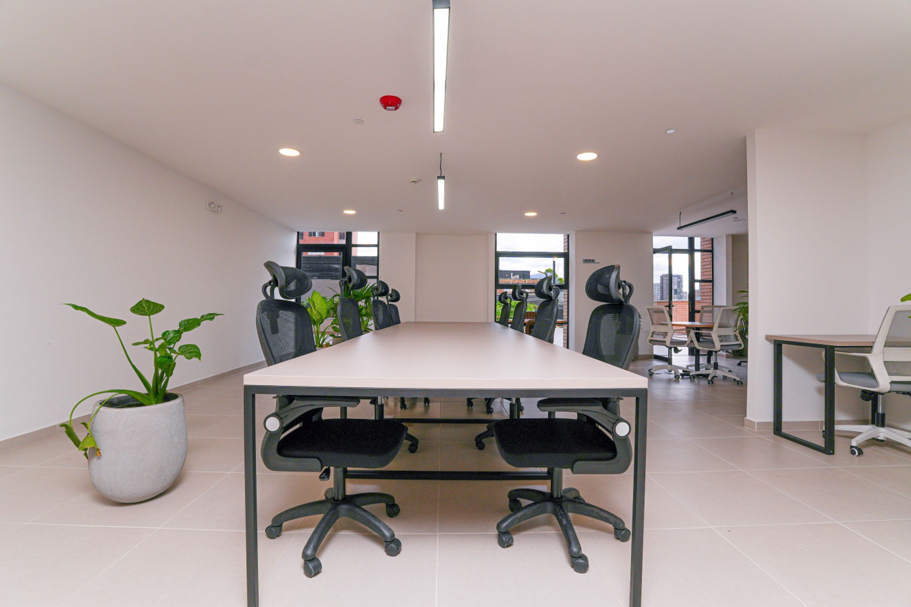 Une salle de conférence avec une longue table, des chaises de bureau noires et des plantes en pot.