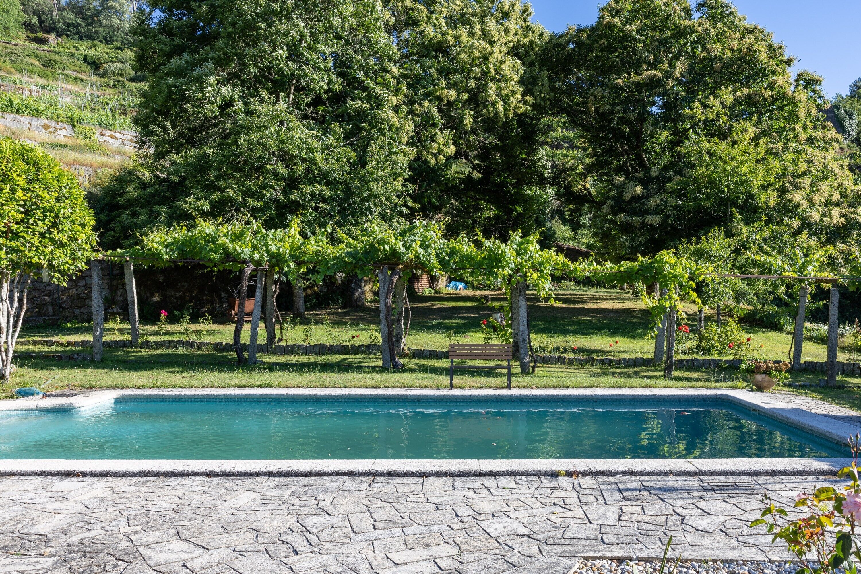 Une piscine bordée de pierres, entourée d’une pelouse avec des arbres et un banc.