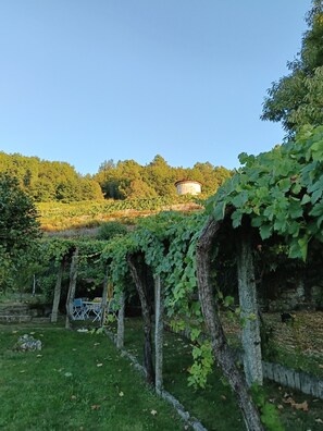 Ulkoalueet