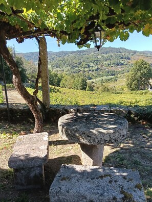 Áreas de la propiedad