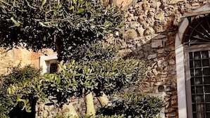 Un patio con un muro de piedra, un árbol y una banca.