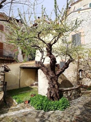 Property grounds - Holiday Home 'La Casa Del Susino Historic' with Wi-Fi (Fiano Romano)
