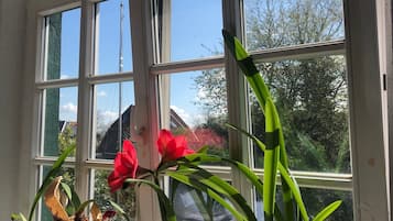 A window with multiple potted plants on a ledge.