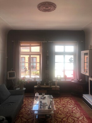 A living room with a sofa, a coffee table, and a fireplace. There are two windows with curtains, a bookshelf, and a potted plant.