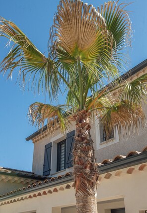 Exterior detail - Maison Alba – Elegant Home with pool (L'Isle-sur-la-Sorgue)
