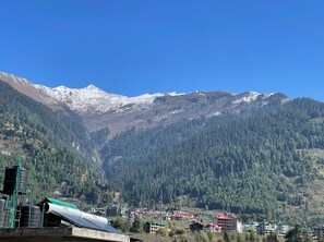 Family Double Room, Balcony, Mountain View | Miscellaneous - Hotel The Red Apple  (MANALI)