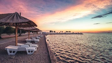 Căn hộ | 2 phòng ngủ
