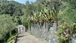 Un muro in pietra con piante, un vialetto lastricato e un cancello.