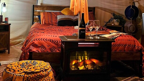 A tent with a bed, hanging lamps, a table with a bottle and glasses, and a fire pit. - Cuddly cow yurt with fluffy cows, llamas, and sheep (Thomson)