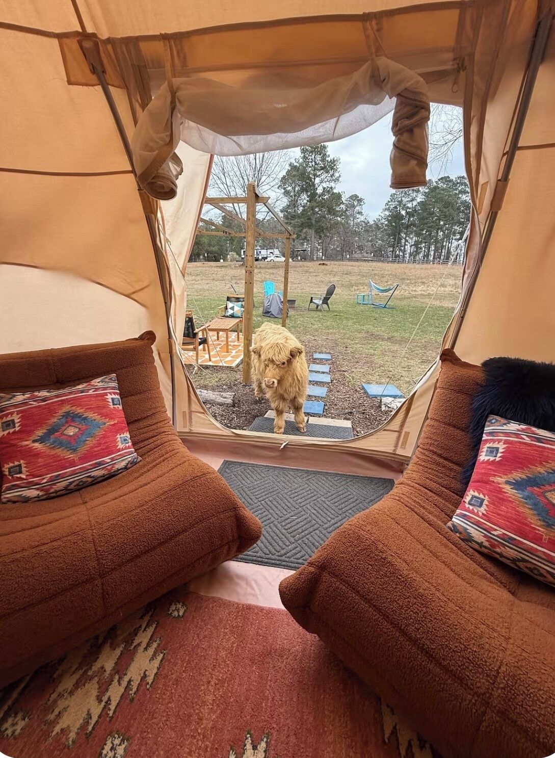 Àrea exterior de l'allotjament