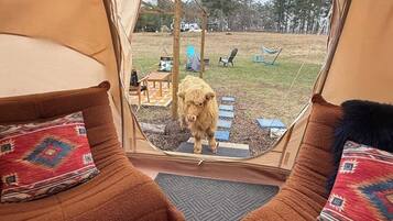 Àrea exterior de l'allotjament