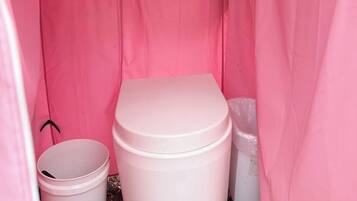 Shower, towels, toilet paper