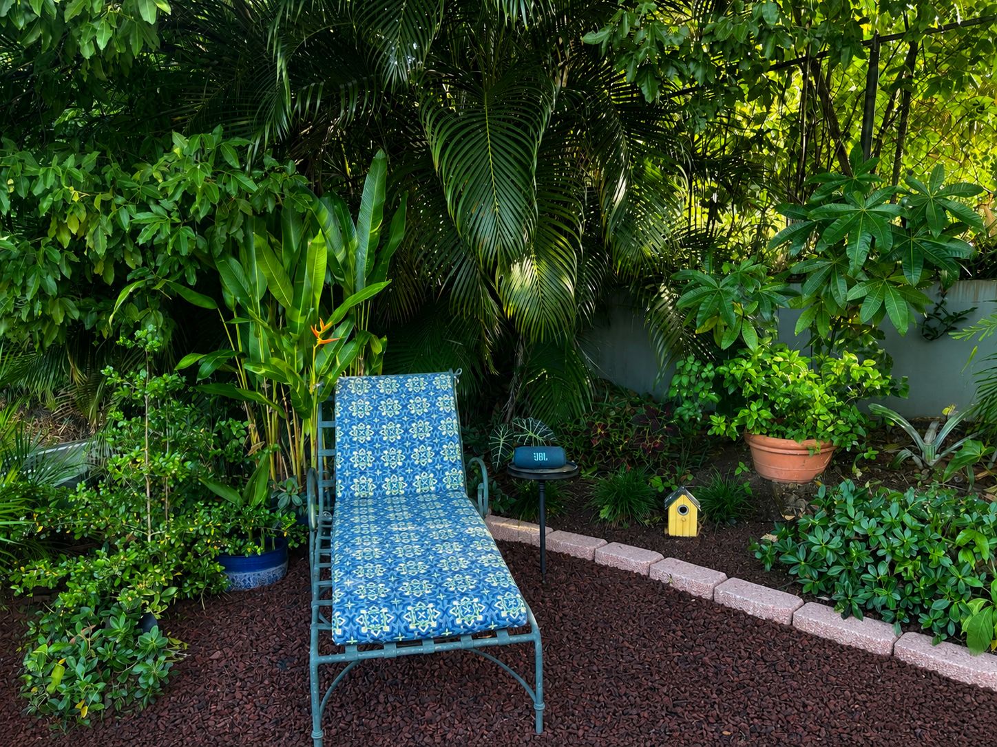 A garden with a metal bench, surrounded by various plants and a small birdhouse.