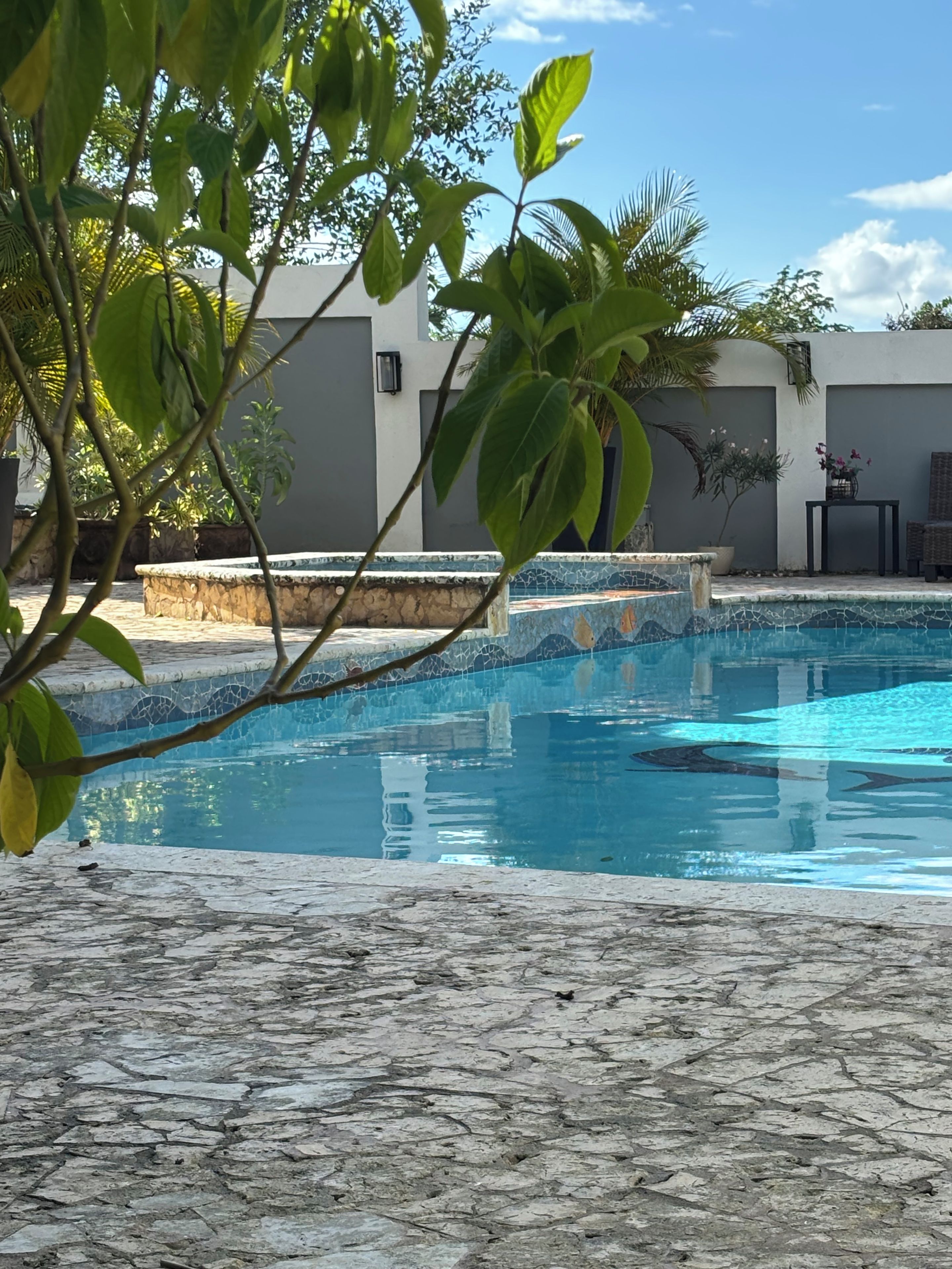 En swimmingpool med kakelbeklädd kant, omgiven av en stenbelagd terrass och grönska.