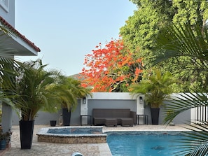 A pool area with a seating arrangement and potted plants.