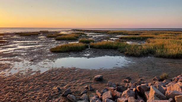 A coastal landscape with a rocky foreground, grassy areas, and a calm sea under a clear sky.