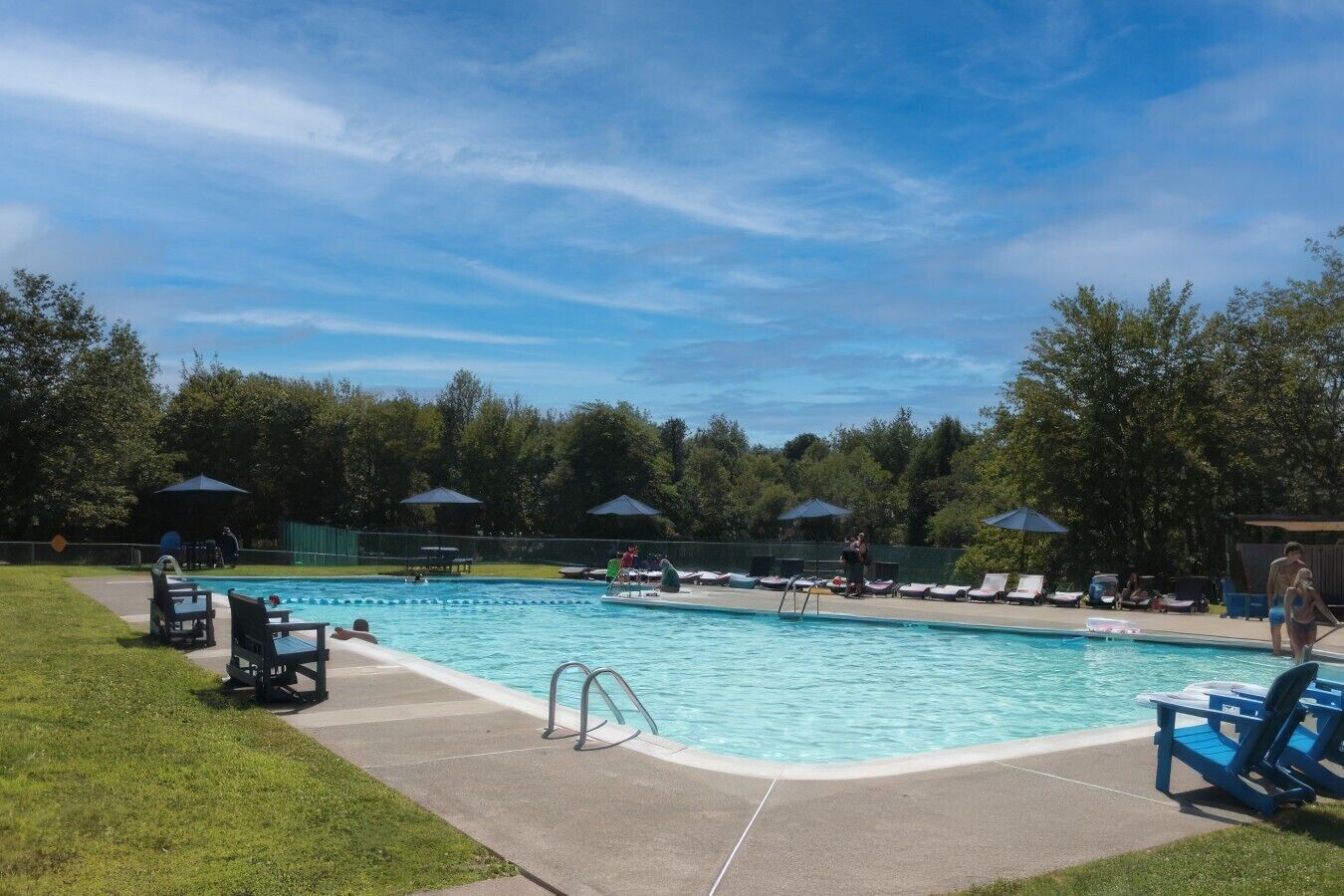 Ein Pool mit Liegestühlen und Sonnenschirmen, umgeben von Bäumen.