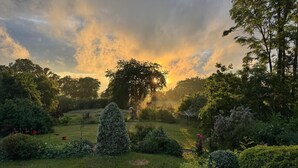 Un jardin où s’épanouissent une grande variété de plantes et d’arbres, un ciel dégagé et un soleil couchant à l’horizon.