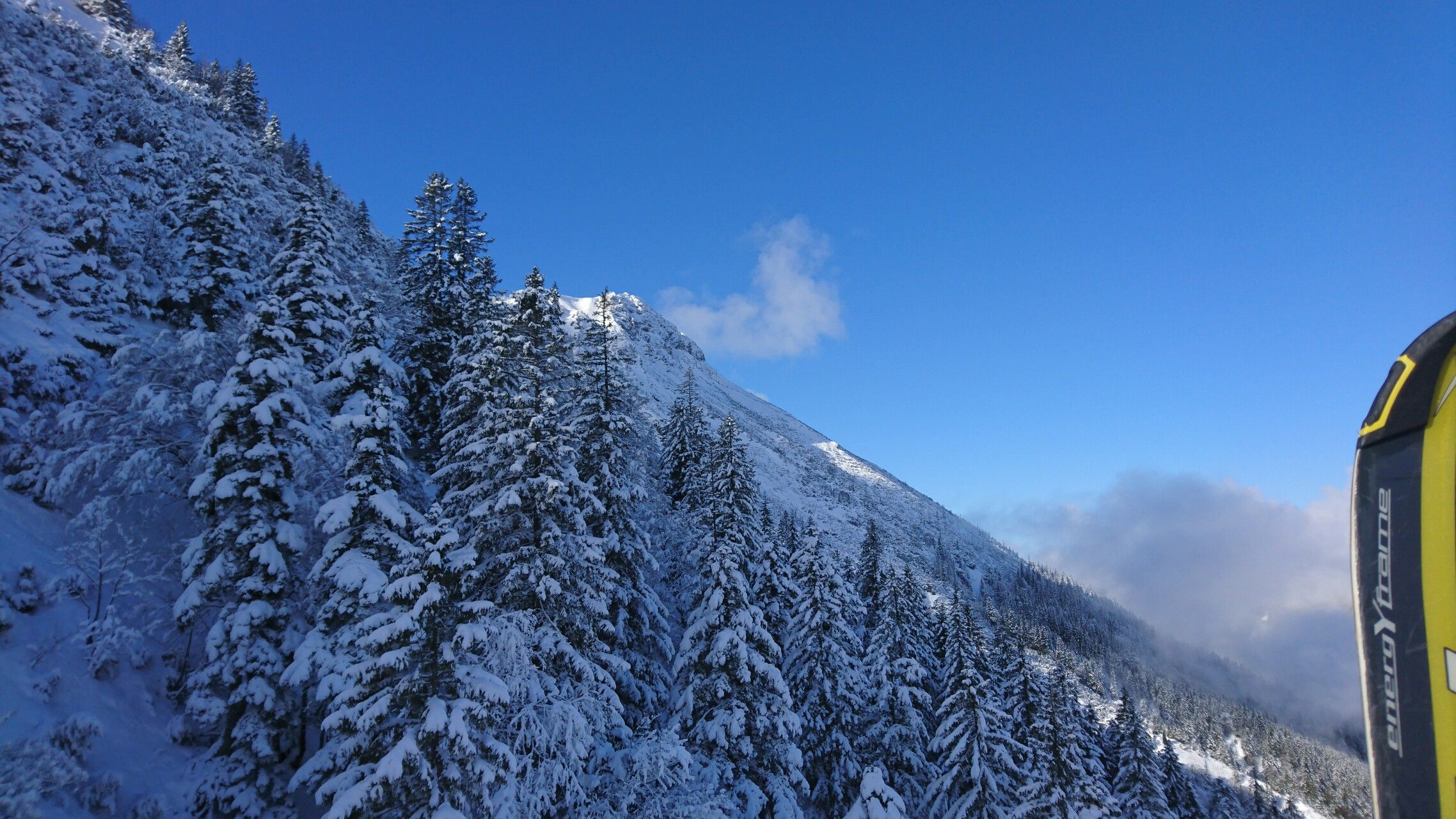 A snow-covered mountain landscape with dense evergreen trees.